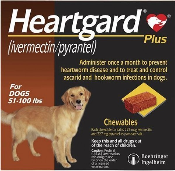 Heartgard Plus Chewables Heartworm Roundworm Hookworm Prevention